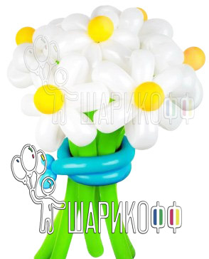 Воздушные шары цветы "Белые Ромашки"
