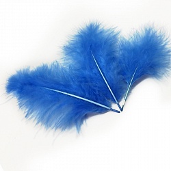 синие перья