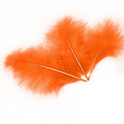 оранжевые перья